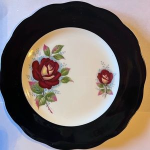Queen Anne Black Rose Pattern Bone China England Black Rim Rose Pattern Dishes